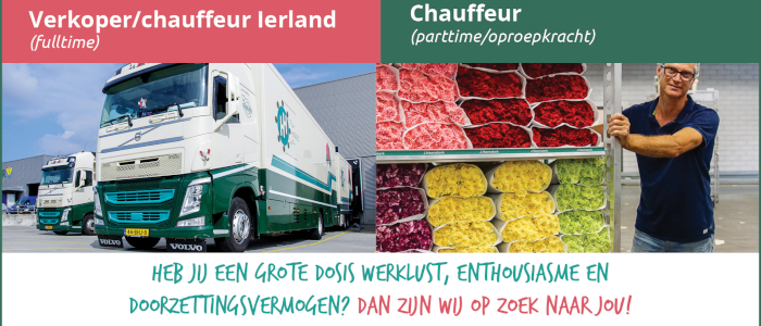 Vacature Chauffeur Ierland