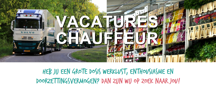 Chauffeur Gezocht